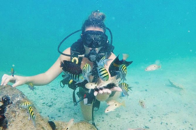 Discover Scuba Diving in Dubai - Is $101.27 a fair price?