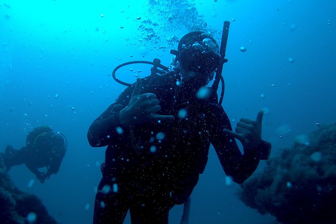 Discover Scuba diving in Gran Canaria with Hotel Pick-up - A gentle first step beneath Gran Canaria