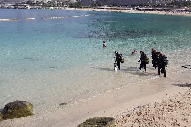 Discover Scuba diving in Gran Canaria with Hotel Pick-up - Who should book this experience