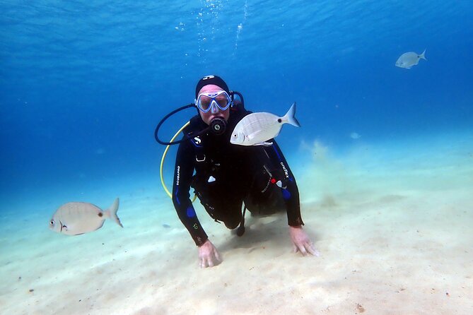 Discover Scuba Diving in Lanzarote (Costa Teguise) - Starting at Daivoon Center at 2:30 pm