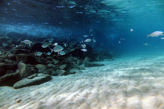Discover Scuba Diving in Lanzarote (Costa Teguise) - Who should book this experience