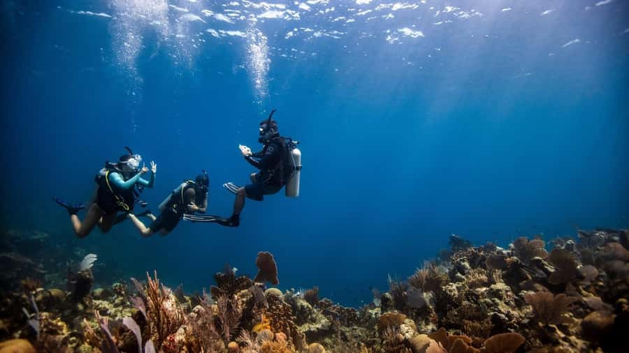 DISCOVER SCUBA DIVING IN LEMORNE with EasydiveMauritius - Key points at a glance
