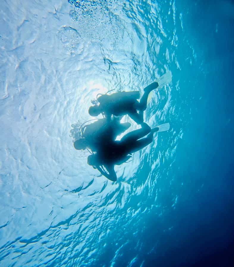 DISCOVER SCUBA DIVING IN LEMORNE with EasydiveMauritius - What you see beneath the surface