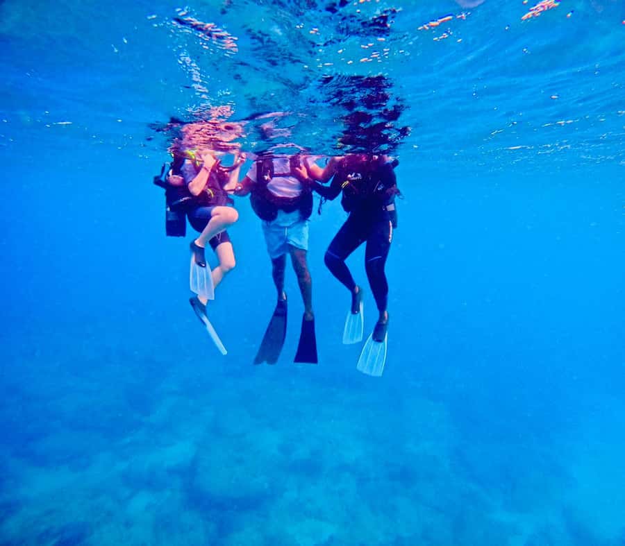 DISCOVER SCUBA DIVING IN LEMORNE with EasydiveMauritius - Is $159 per person good value?