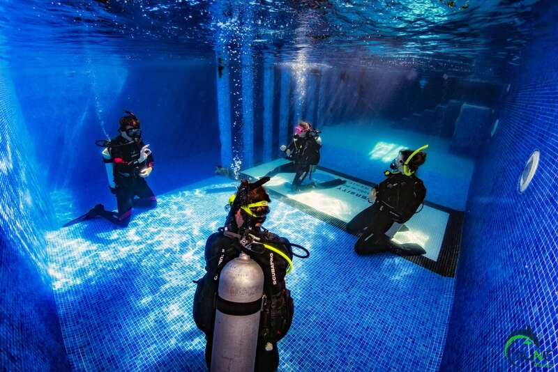 Discover Scuba Diving in Playa del Carmen - 2 dives - What you may see beneath the surface