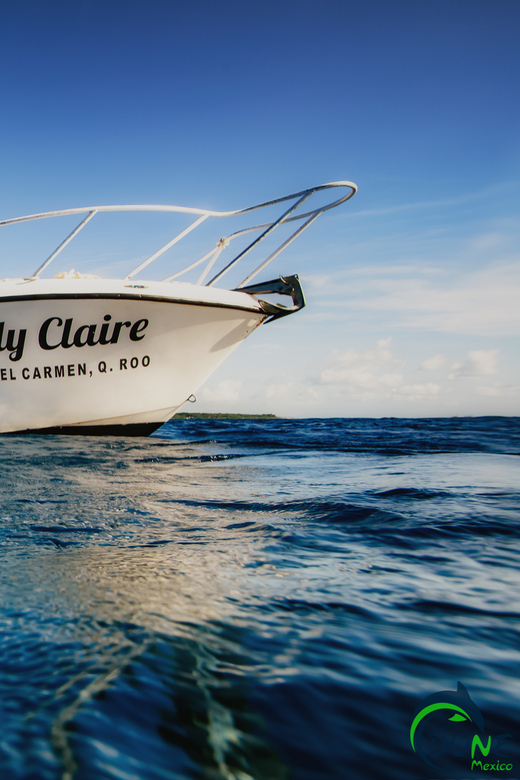 Discover Scuba Diving in Playa del Carmen - 2 dives - A calm approach for first-time scuba participants
