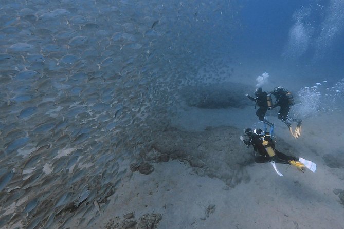 Discover Scuba Diving in Puerto de Mogan - Timing, Flying, And What To Bring