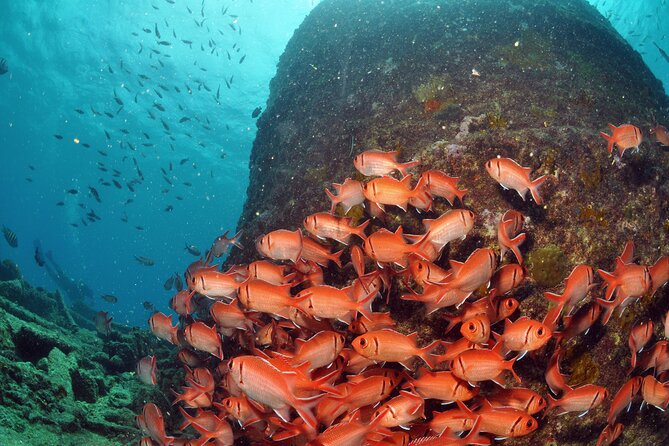 Discover Scuba Diving in Sal - The gear included, and what you still need