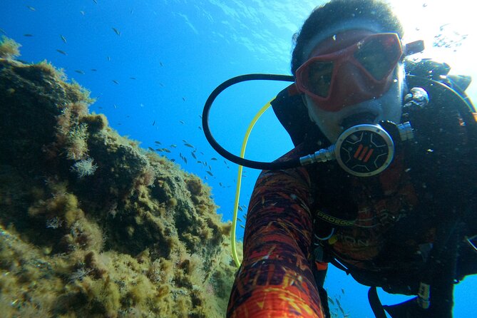 Discover Scuba Diving in Tenerife - A good choice for families and nervous beginners