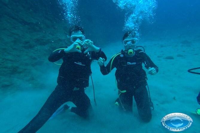 Discover Scuba Diving in Tenerife - Timing, weather, and the no-fly rule