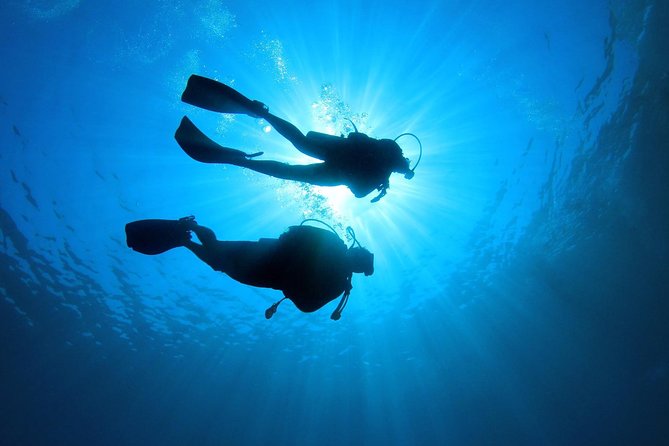 Discover Scuba Diving in Tenerife - What the 35-minute briefing gives you