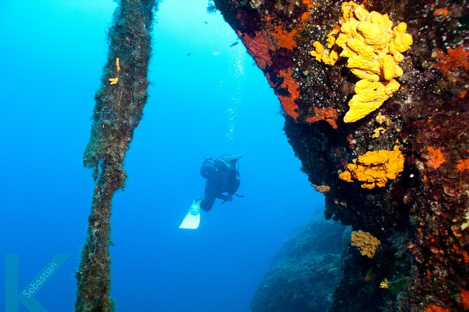 Discover Scuba Diving in the Caldera of the Volcano in Santorini - Key points to know before booking