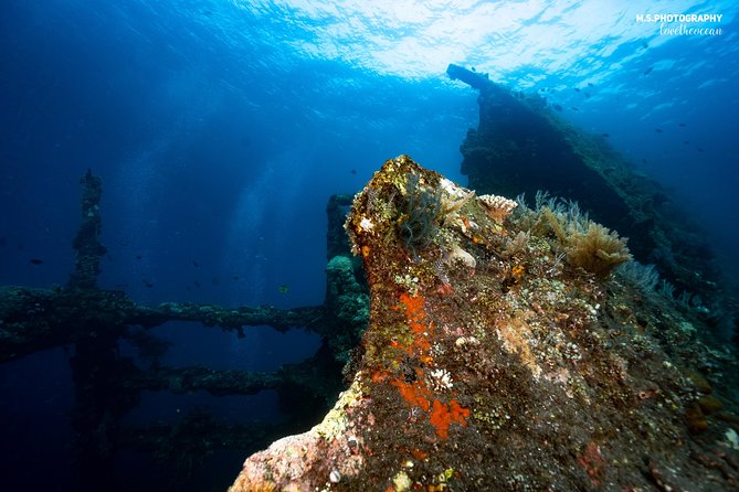 Discover Scuba Diving in Tulamben - Diving Initiation in Bali best diving sites - Who will enjoy this experience most