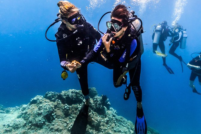 Discover Scuba Diving in Tulamben - Diving Initiation in Bali best diving sites - What happens during the seven-hour experience