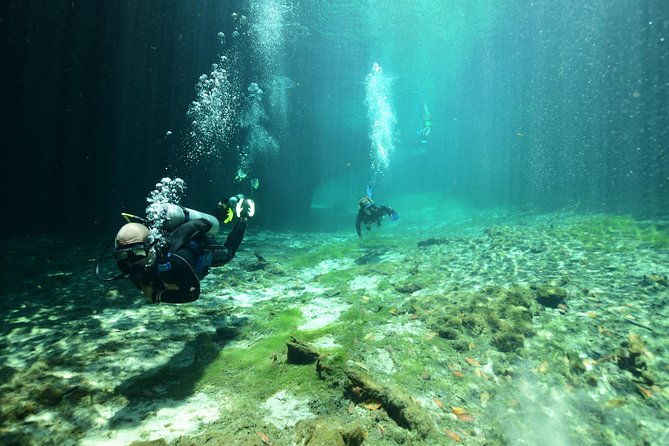 Discover Scuba Diving in Tulum - Why Casa Cenote works for a first scuba experience
