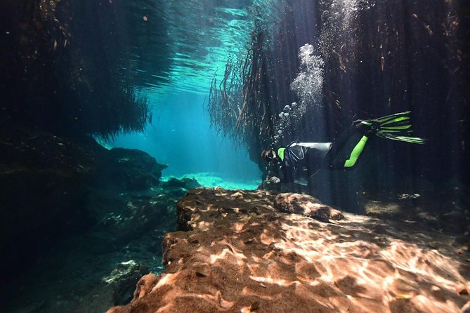 Discover Scuba Diving in Tulum - Equipment fitting and basic water skills