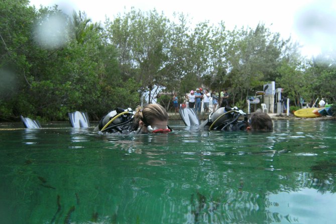 Discover Scuba Diving in Tulum - Casa Cenote: the main underwater session