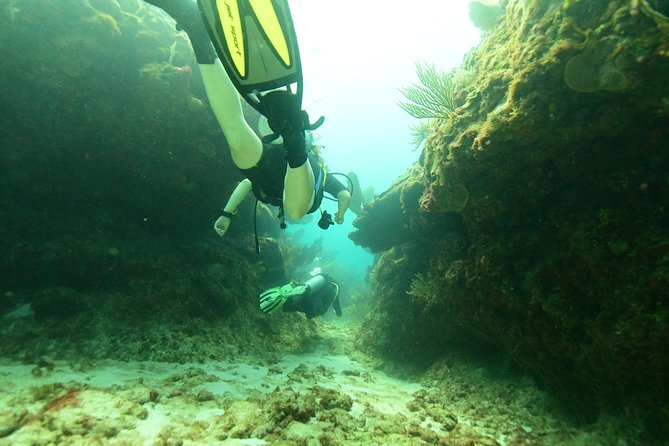 Discover Scuba Diving in Tulum - Food, timing, and a practical morning tip