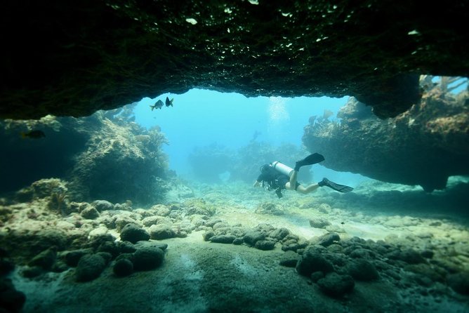 Discover Scuba Diving in Tulum - Your morning at Agua Clara Diving Tulum