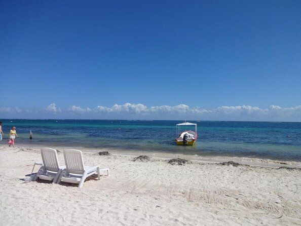 Discover Scuba Diving - One Tank at Coral Reef - Key points to know before booking
