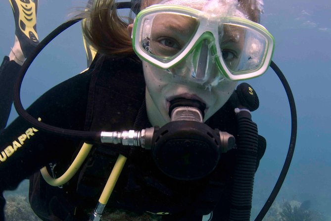 Discover Scuba Diving - One Tank at Coral Reef - A first scuba lesson with a real reef finish
