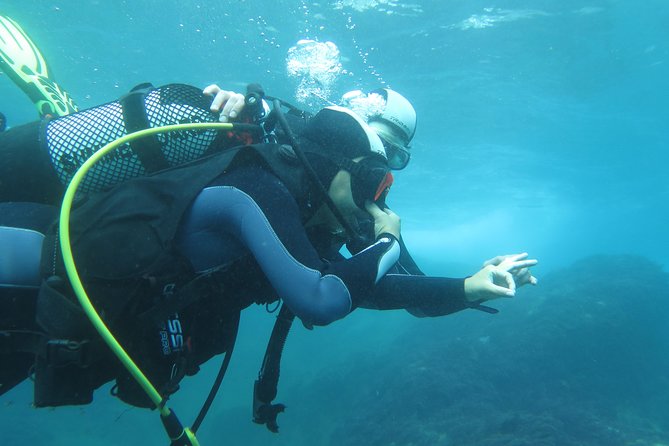 Discover Scuba Diving or Try dive - Equipment is included, but lunch is not