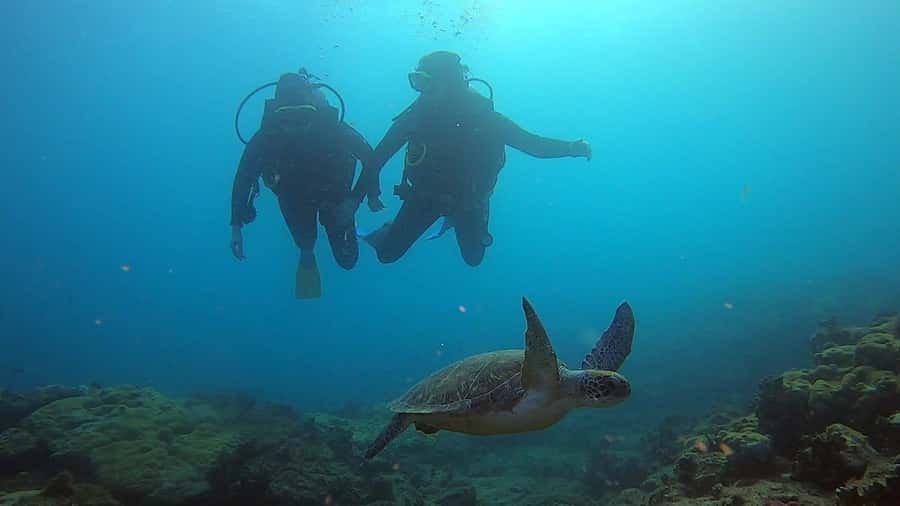 Discover Scuba Diving Program for Beginners - Day one: equipment, signals, and basic theory
