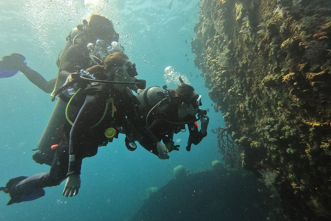 Discover Scuba Diving Tulamben Bali For Non-Certified Divers - Lunch, Rest, and a Second Underwater Session