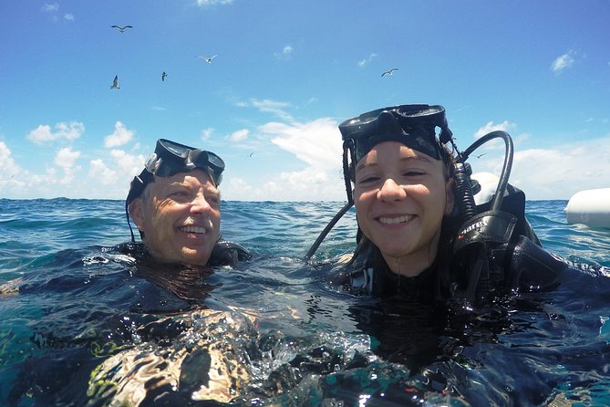 Discover Scuba Diving with No Certification in St Thomas - Wildlife and underwater scenery