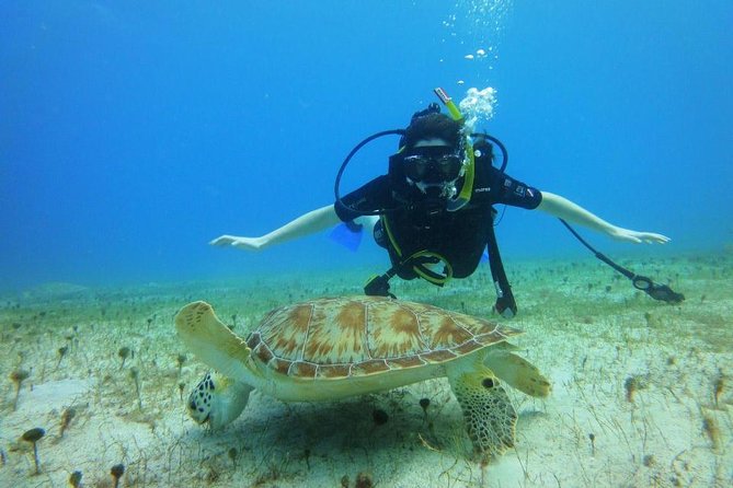 Discover Scuba Diving with No Certification in St Thomas - The lesson and equipment briefing