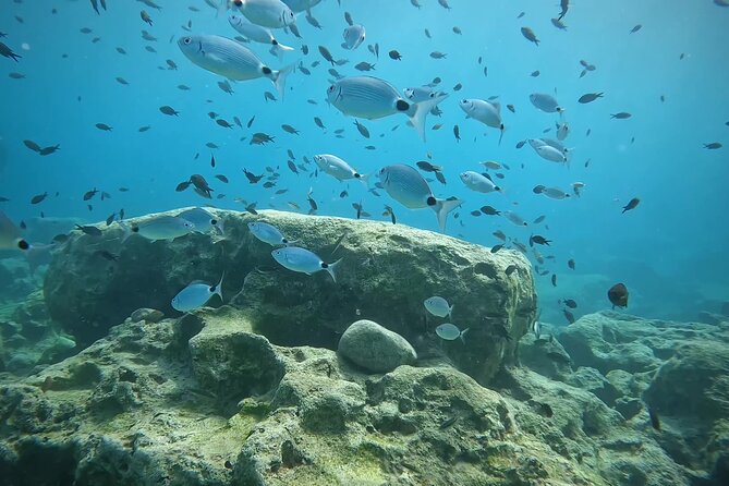 Discover SCUBA Diving with Pissouri Bay Divers - What the price includes in practical terms