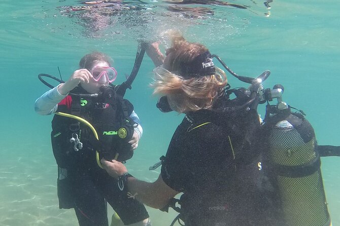 Discover SCUBA Diving with Pissouri Bay Divers - Timing, transport, and the weather