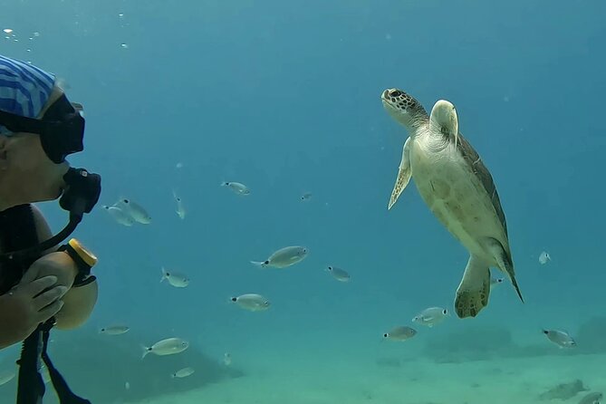 Discover SCUBA Diving with Pissouri Bay Divers - A practical way to prepare