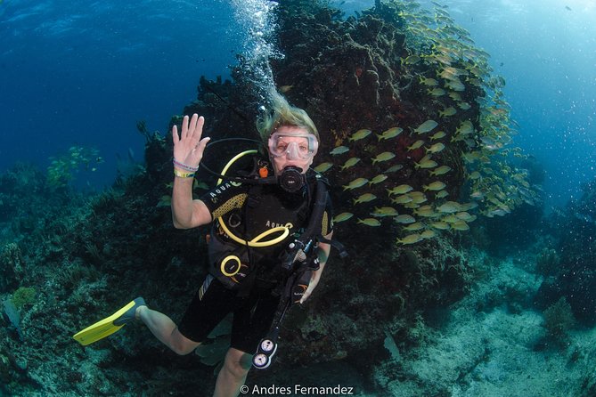 Discover scuba ,MUSA and Manchones reef dive without license - Why the Small Group Helps Beginners
