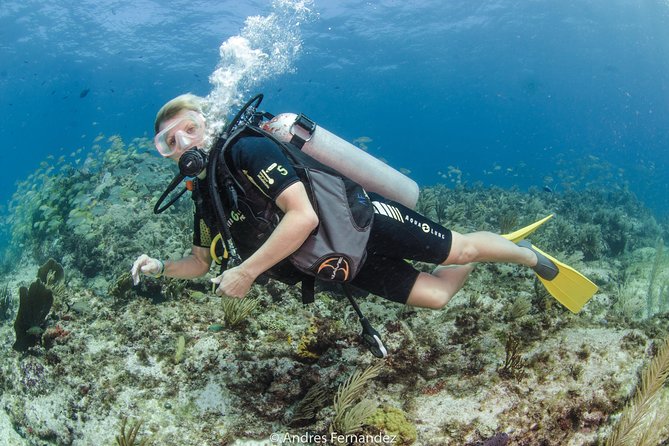 Discover scuba ,MUSA and Manchones reef dive without license - What to Bring and How to Prepare