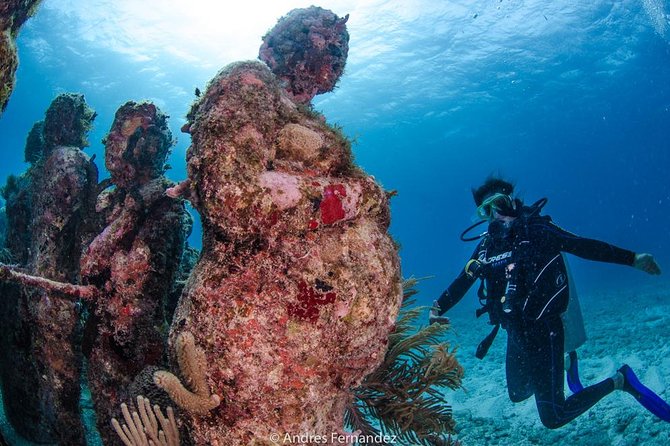 Discover scuba ,MUSA and Manchones reef dive without license - Who Will Enjoy This Isla Mujeres Outing