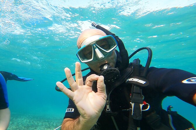 Discover Small Group Scuba Diving Experience in Nea Makri, Athens - A gentle first step into scuba near Athens