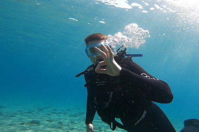 Discover Small Group Scuba Diving Experience in Nea Makri, Athens - Why the instructors matter so much