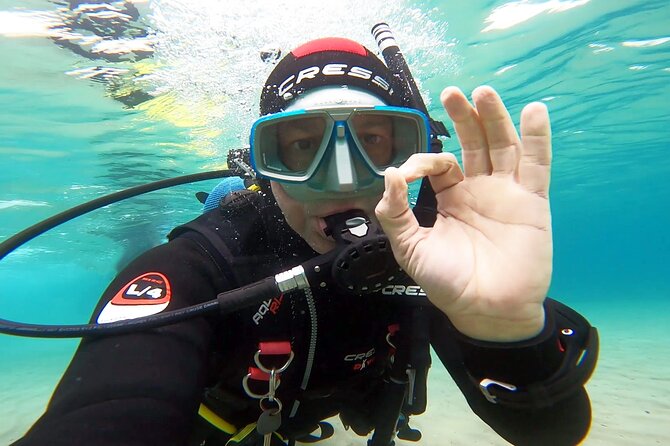 Discover Small Group Scuba Diving Experience in Nea Makri, Athens - Photos and video after the session
