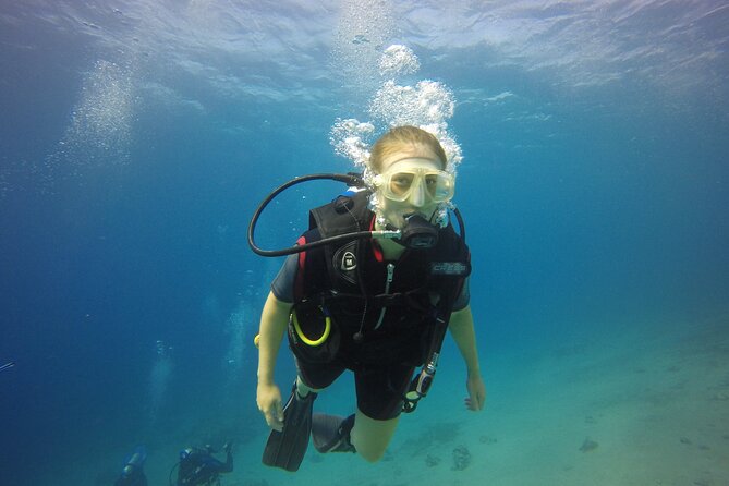 Discover the Depths: Aqaba's Ultimate private Dive Experience - A Gentle First Step Into Aqaba’s Red Sea