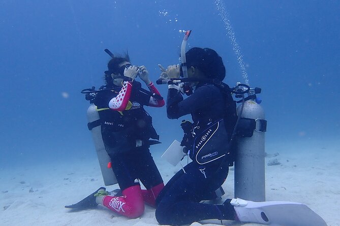 Discovery Scuba Dive. - Spending 30 to 40 minutes below the surface