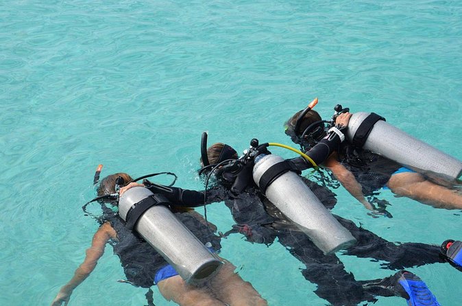 Discovery Scuba Dive. - The instructors make the largest difference