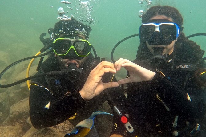 Discovery Scuba Diving in Dubai - Key points before you book