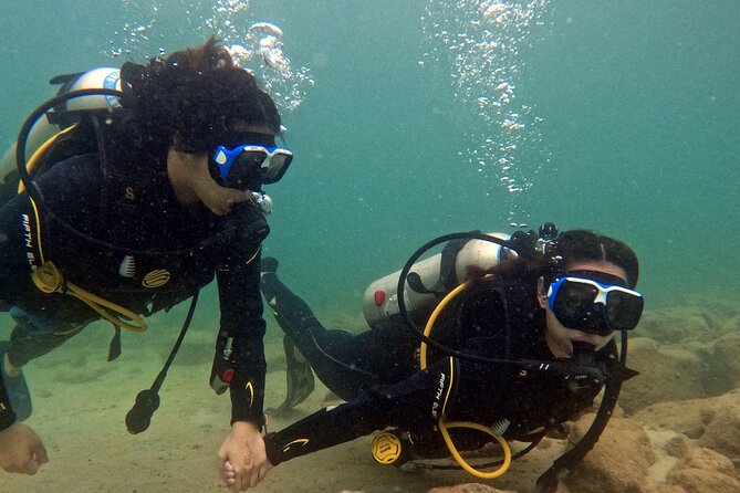 Discovery Scuba Diving in Dubai - What the $102 price really buys you
