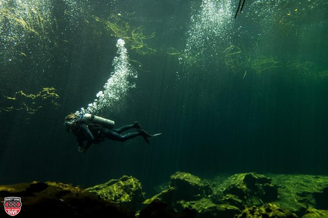 Discovery Scuba Diving !! - Why the eight-person limit matters