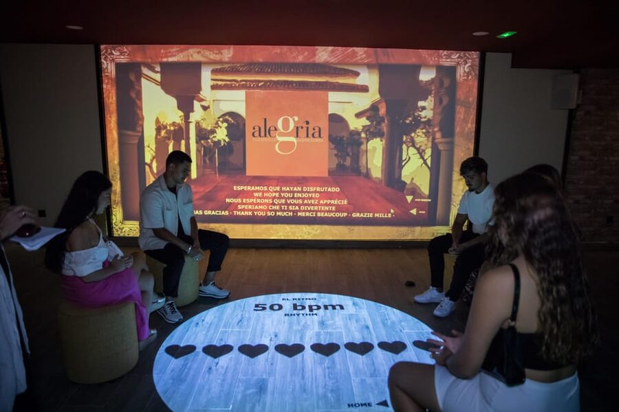 Dive In and Discover: Flamenco in an Interactive Journey - Five screens, then a human guide