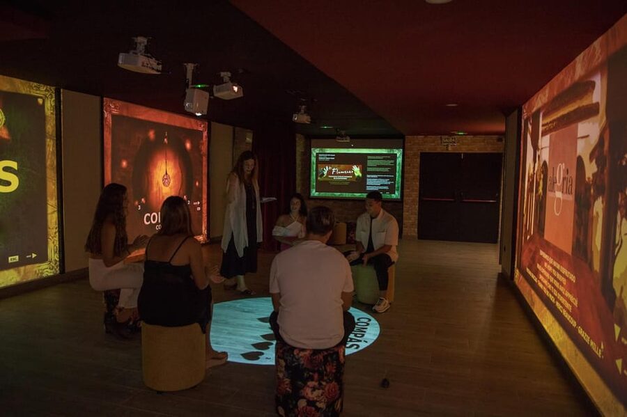 Dive In and Discover: Flamenco in an Interactive Journey - A good fit for families and first-time learners