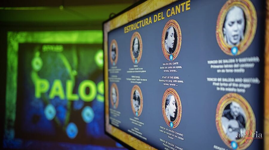 Dive In and Discover: Flamenco in an Interactive Journey - Price and value in central Málaga
