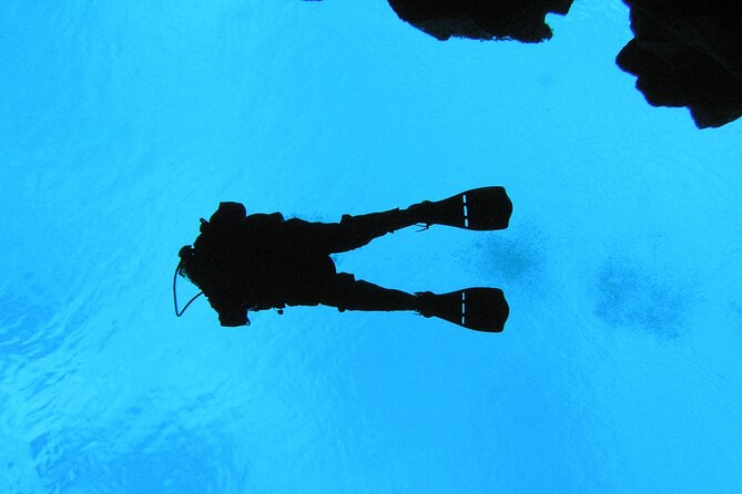 Dive the Divide: Silfra Fissure Scuba Tour | Meet at Thingvellir - Meeting at Thingvellir and getting ready