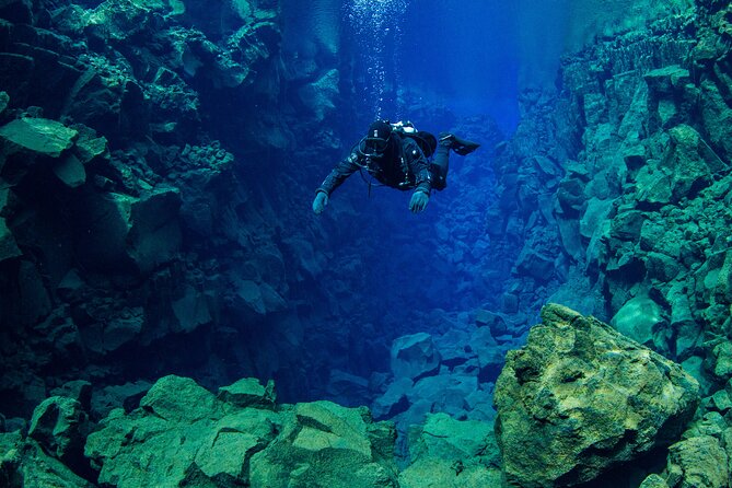 Dive the Divide: Silfra Fissure Scuba Tour | Meet at Thingvellir - Is the $296.41 price fair?
